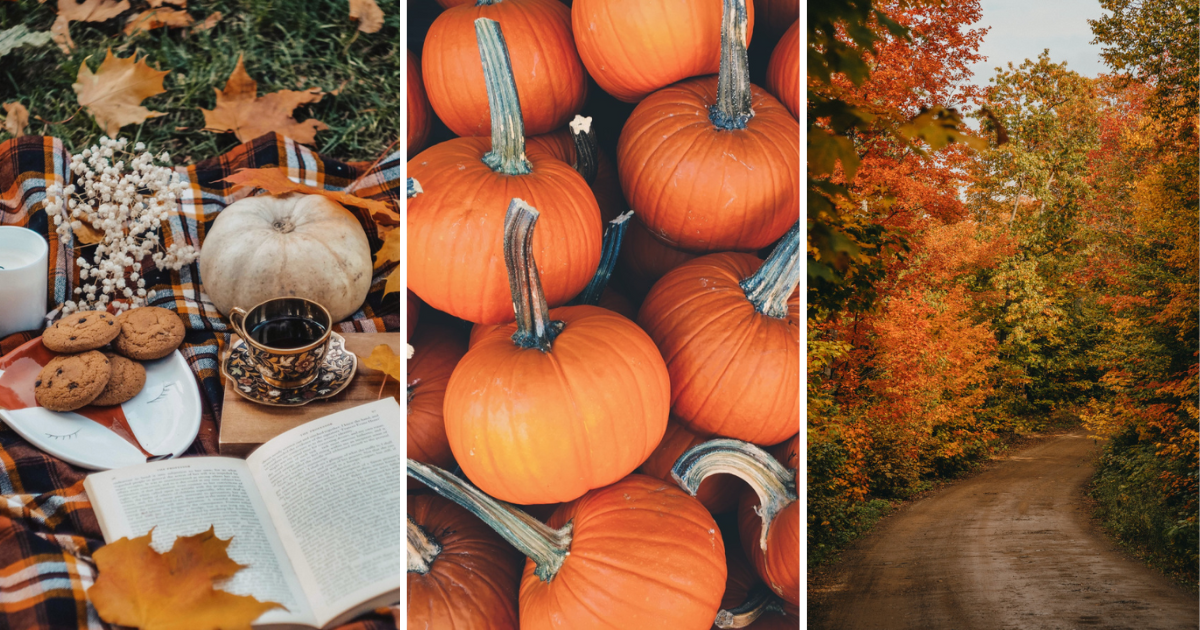 50 Cozy Autumn Wallpapers to Fall in Love With (See What I Did There ...