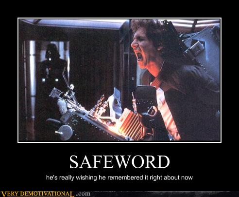 SAFEWORD - Very Demotivational - Demotivational Posters | Very