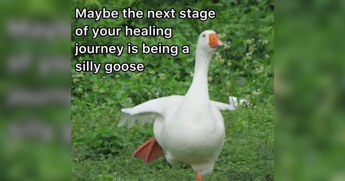 31 Memes For a Range of Moods