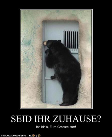 Seid Ihr Zuhause Cheezburger Funny Memes Funny Pictures