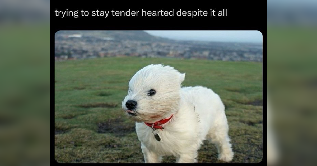 29 Memes to Have on the Side