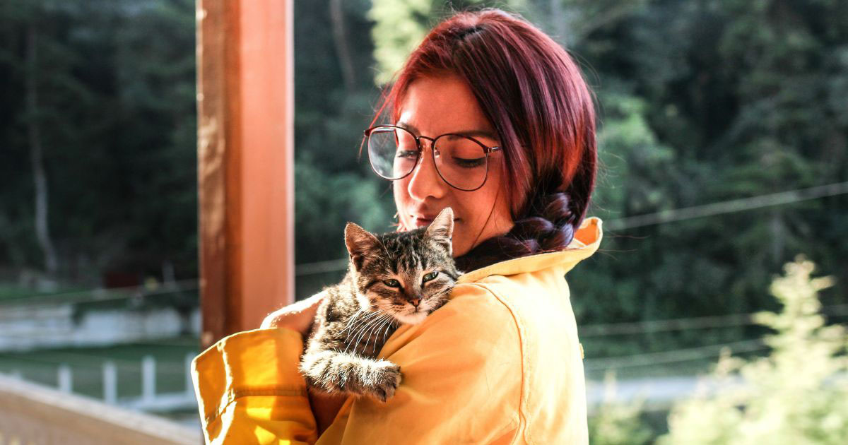 30-year-old steals $2000 from her sister for her cat's funeral after she asked her to scale down the budget: 'She claimed it was an emotional emergency.'