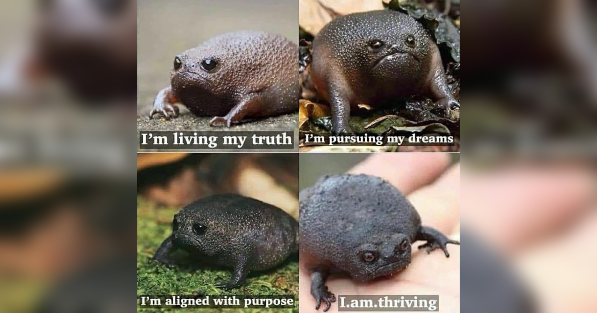 A Free Gift of 31 Memes