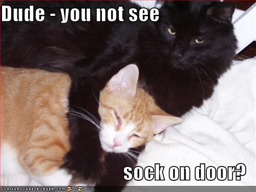 Dude You Not See Sock On Door Cheezburger Funny Memes