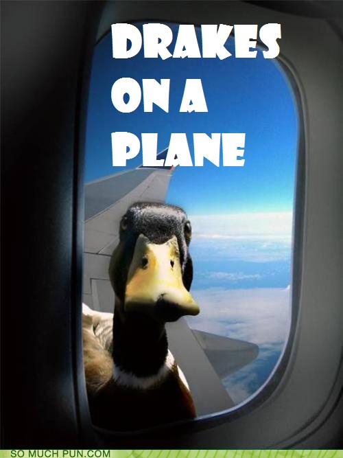 Puns plane Funny Puns Pun Pictures Cheezburger