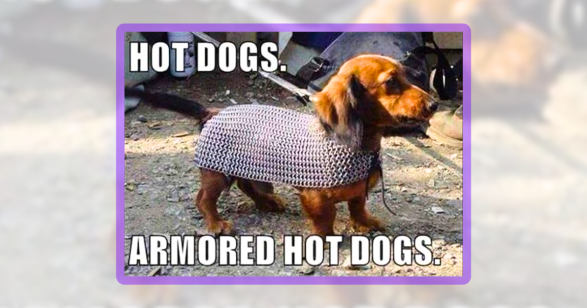 23 Comical Canine Pawsts for Dog Parents Raising Ruckus Indoor Wolves ...