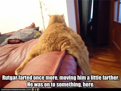 Tabby Fart