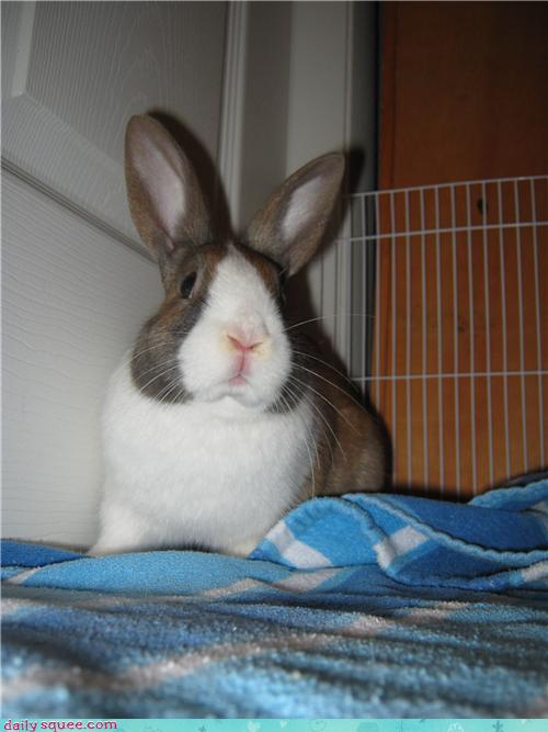 Reader Squees Steve Daily Squee Cute Animals Cute Baby Animals Cute Animal Pictures