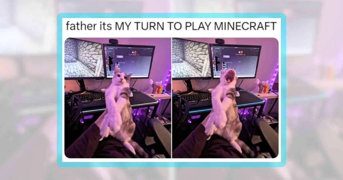 26 Sassy Sunday Cat Pawsts to Smother You With Weekend Feline Funnies