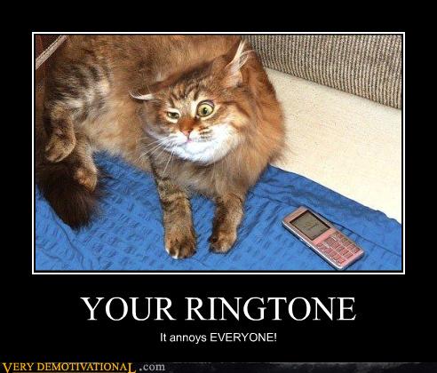 YOUR RINGTONE  Very Demotivational Demotivational 