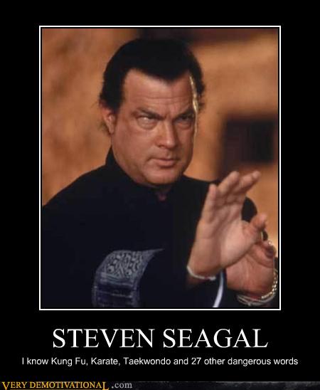 STEVEN SEAGAL - Very Demotivational - Demotivational Posters | Very