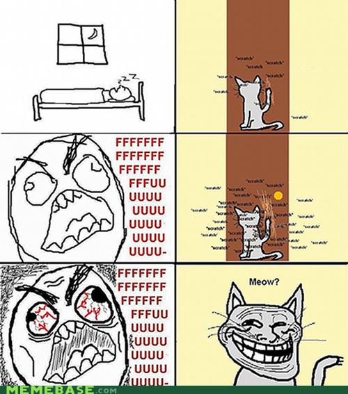 Troll Cat. - Memebase - Funny Memes