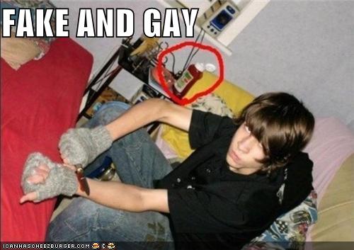 Fake And Gay Cheezburger Funny Memes Funny Pictures