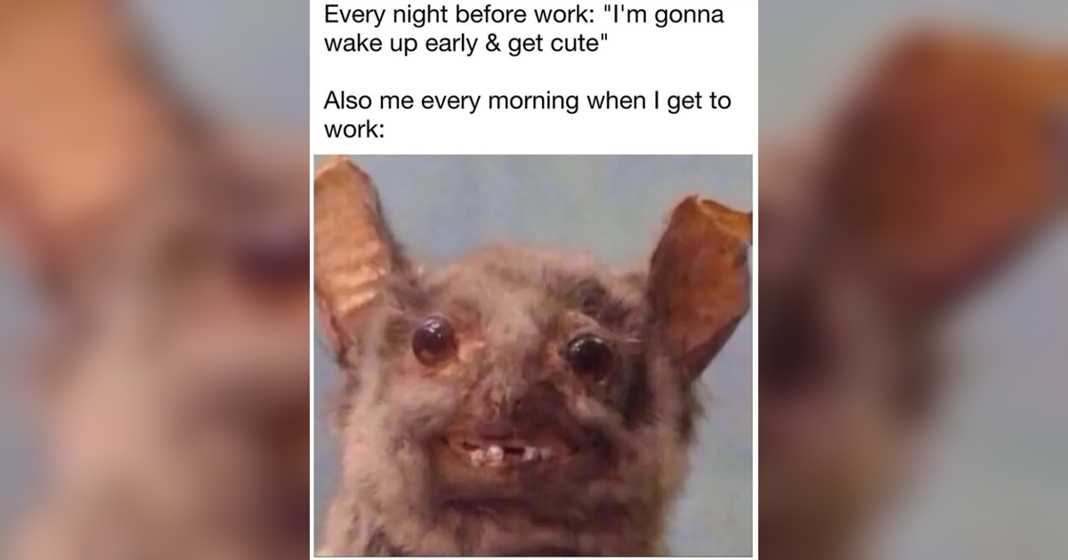'Either you want me to attend meetings or get my actual work done': The best relatable work memes this week