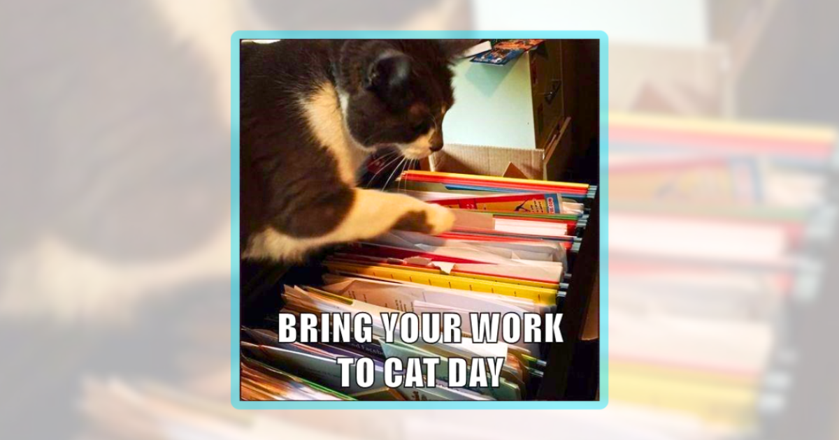 23 Working Cat Memes to Meow Your Monday Away - I Can Has Cheezburger?