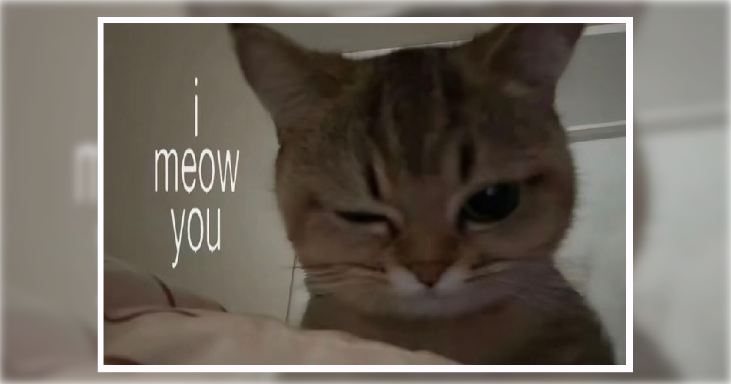 25 Memes That Will Feel Like a Hug at the End of Your Crash-Out Week