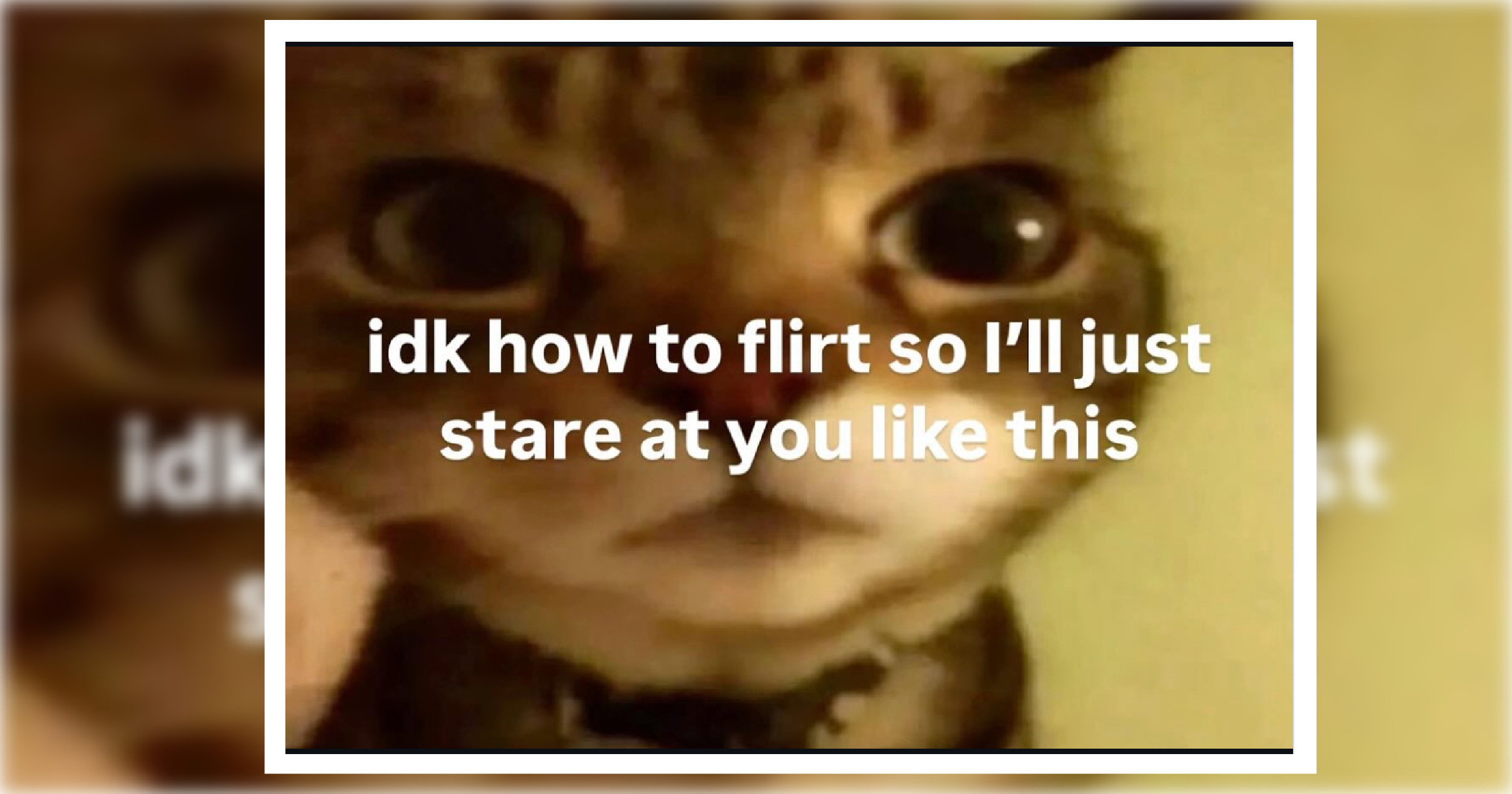 40 Memes for People Trying to Play It Cool Around Their Crush