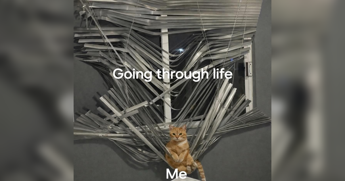 31 Memes to Brighten Things Up
