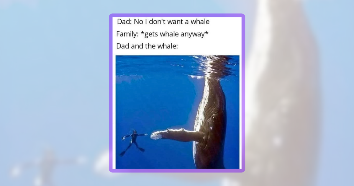 Whale-Sized Dose of 36 Deep Sea Memes for a Delightful Laughter Dive ...