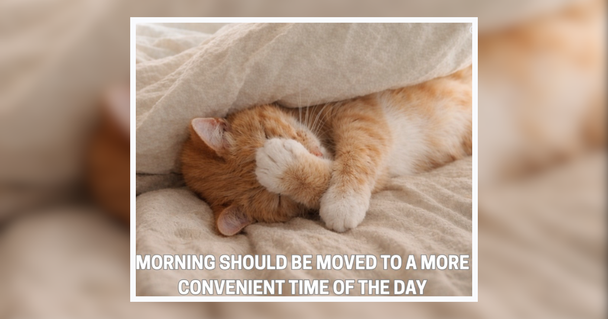 Magazine - Humor, Gaming, News