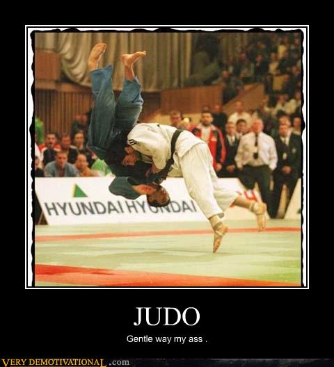 Very Demotivational judo Very Demotivational Posters Start Your
