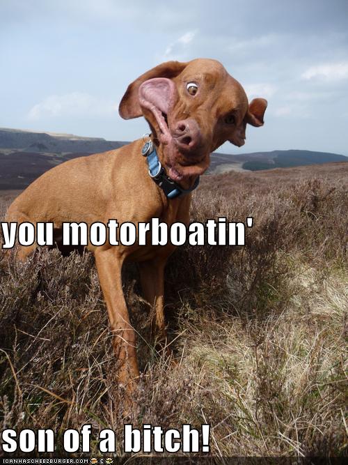 you motorboatin' son of a bitch! - Cheezburger - Funny ...