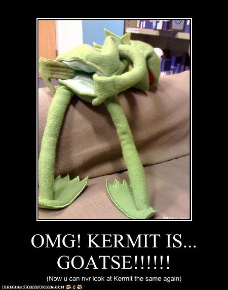 Omg Kermit Is Goatse Cheezburger Funny Memes