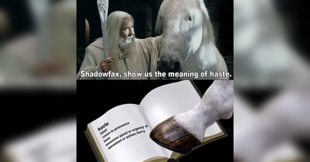 Tolkien Tuesday: The Best Lord of the Rings Memes This Week - Memebase ...