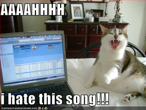 aahhhh I Hate This Song Cheezburger Funny Memes Funny Pictures