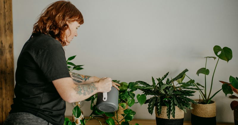 Employee curates desktop plant collection, gets annoyed when coworker continually 'takes care' of them: 'My pothos got repotted [and] my succulent got moved'