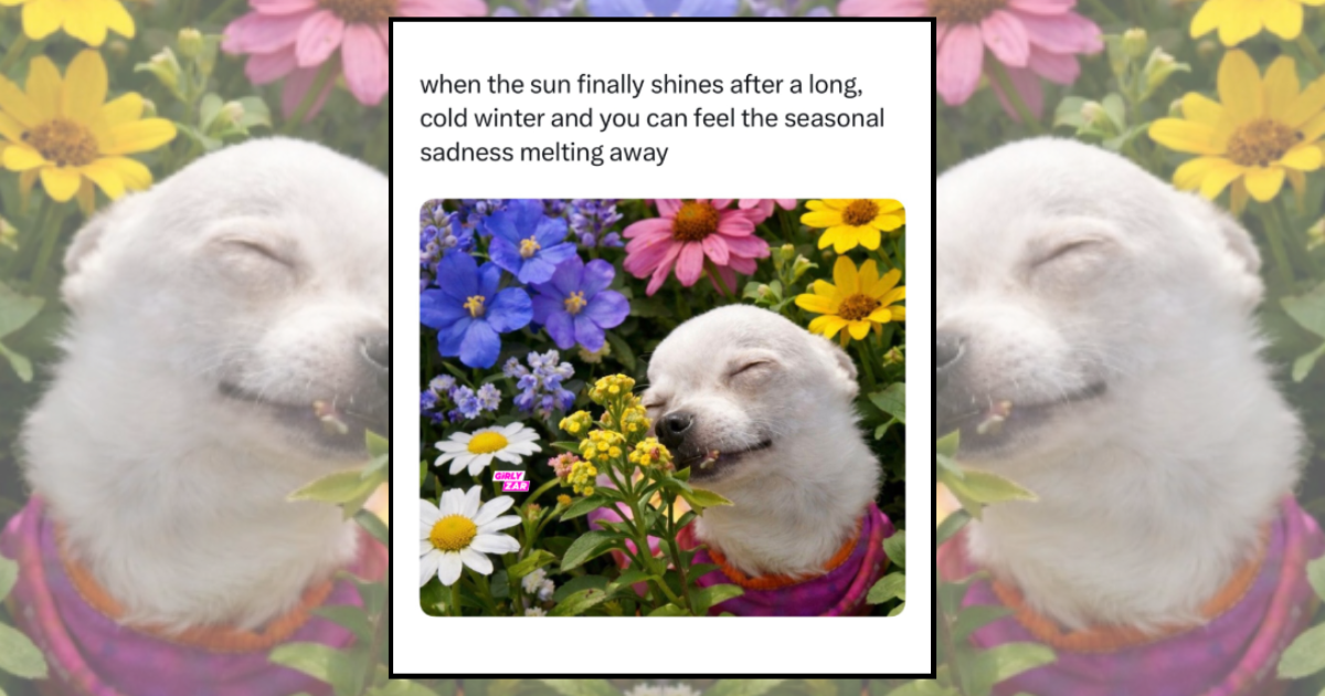 25 Sunny Memes for Instant Good Vibes and a Dose of Vitamin D