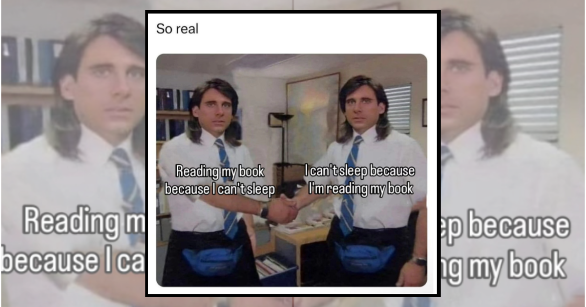23 Book Memes for Readers Who Cancelled Plans for a Good Plot Twist