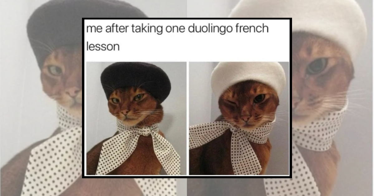 25 Duolingo Memes for People Who Keep Their Streak Alive No Matter Where They Are