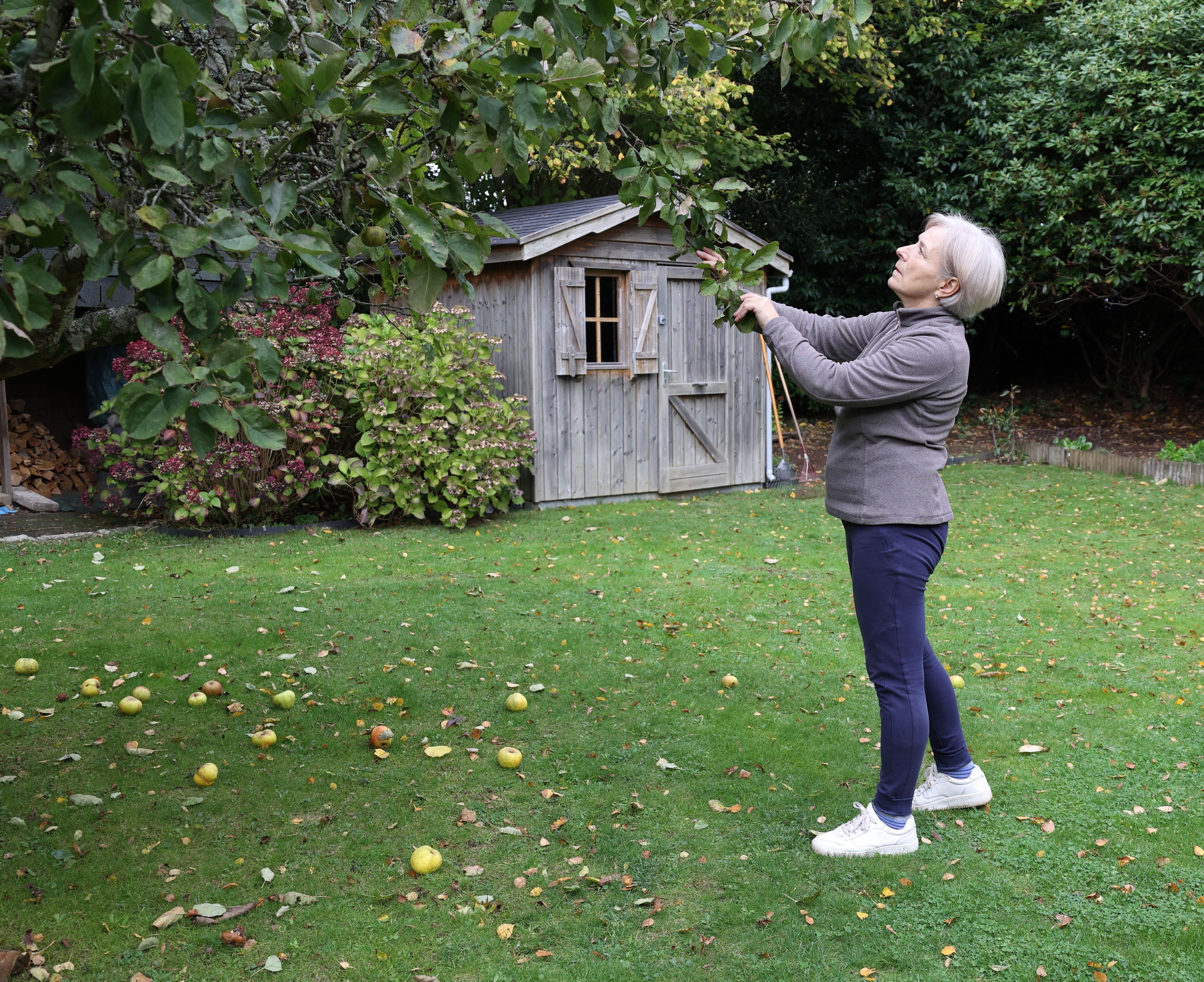 60-year-old Woman buys a house with a shed in the backyard, then a stranger shows up claiming the shed is his because the previous owner never finished paying for it: ‘ She was renting to own and she stopped making payments’