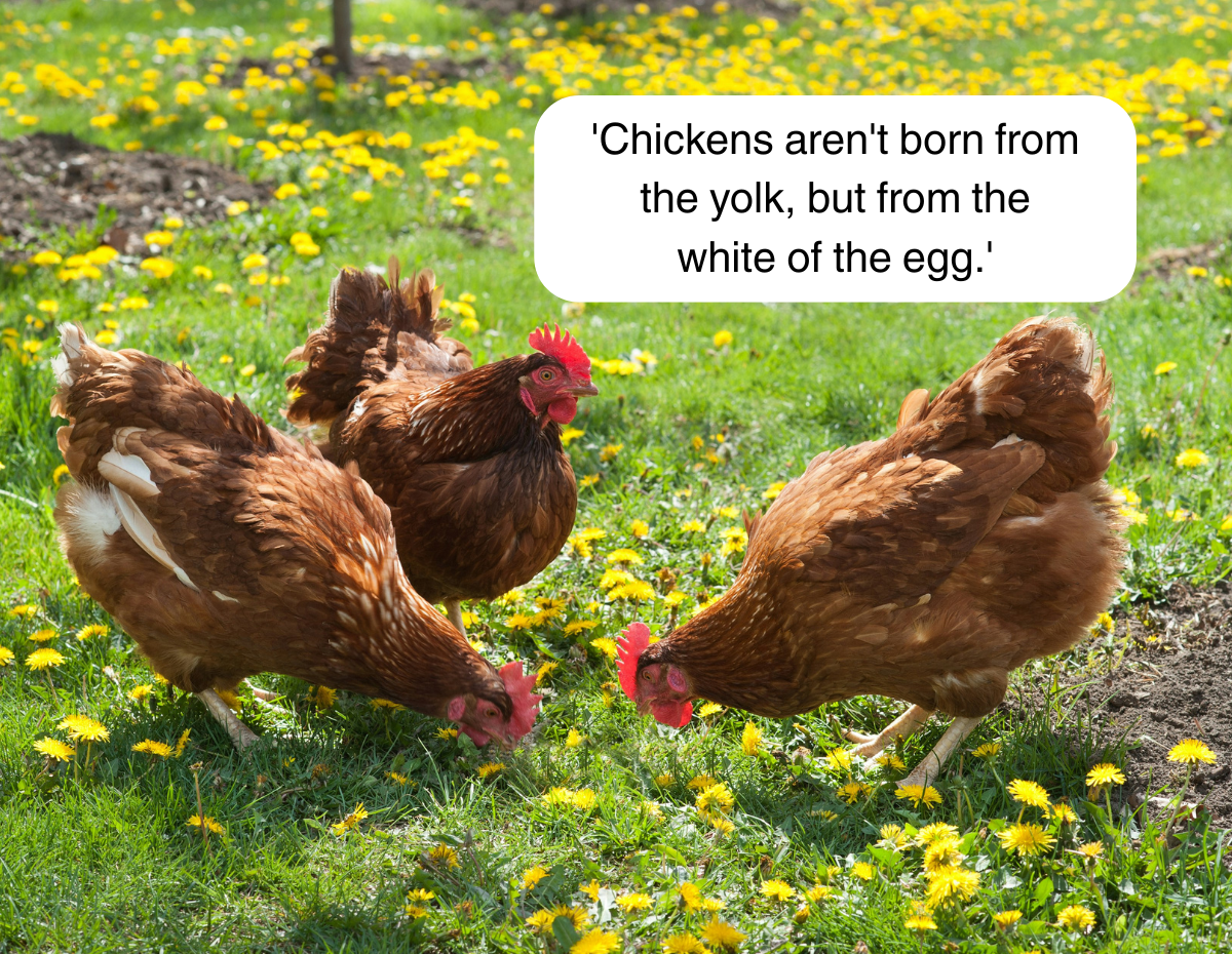 35+ Random Facts Worthy of Saving Any Awkward Silence During Conversation