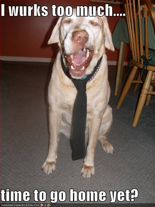 free dating app for android