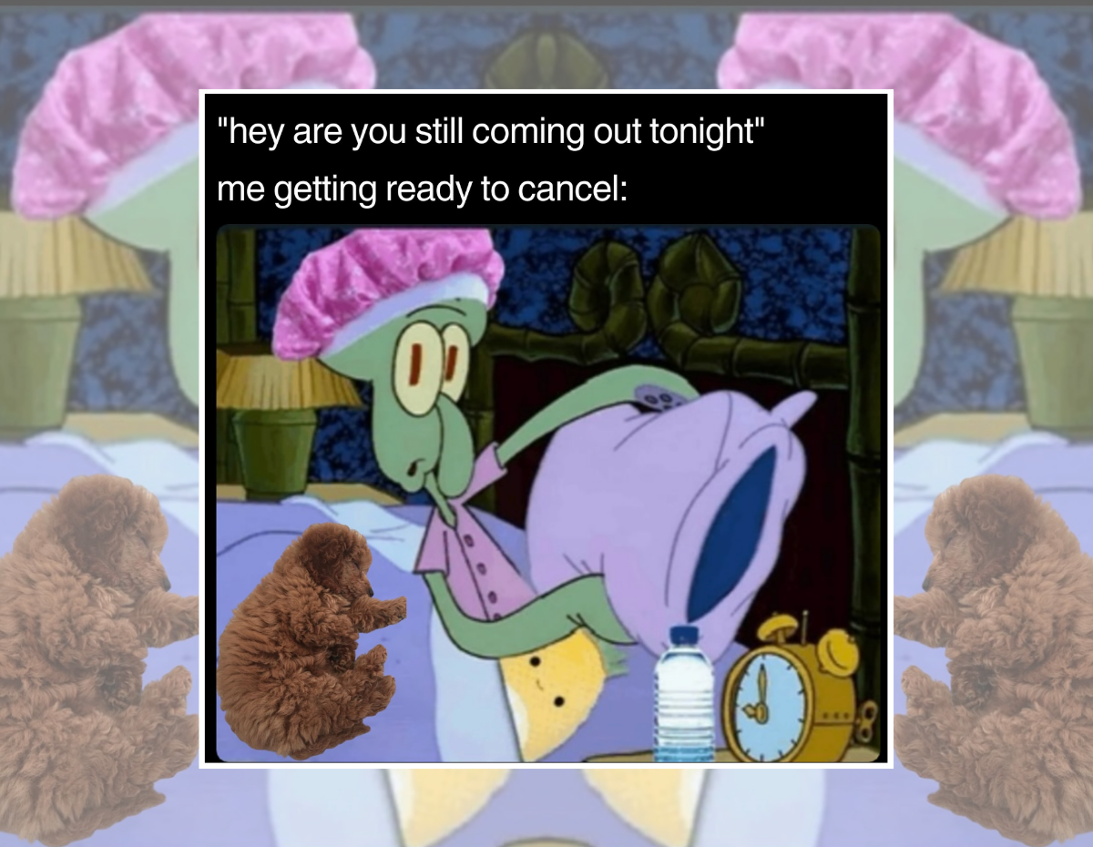 20 Old Soul Memes for Young People Secretly Powered by Tea and Blankets