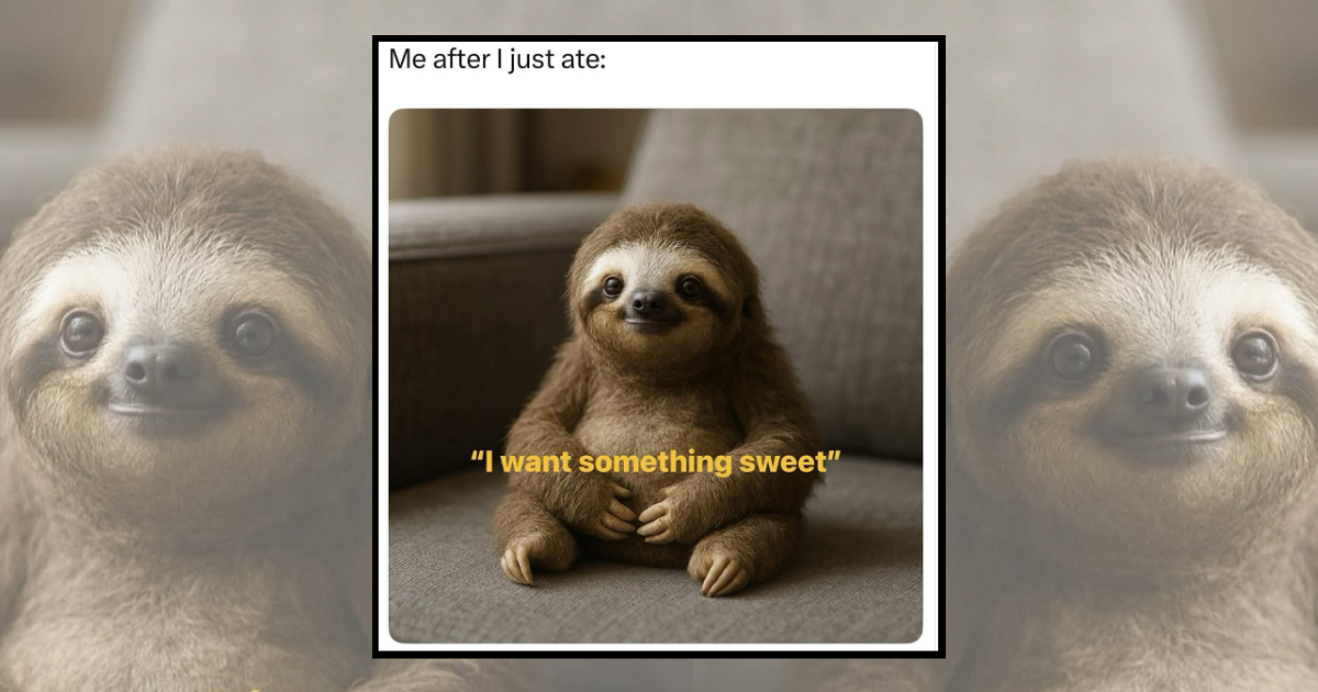 25 Sugary Memes for Sweet Tooth People Who Never Skip Dessert.