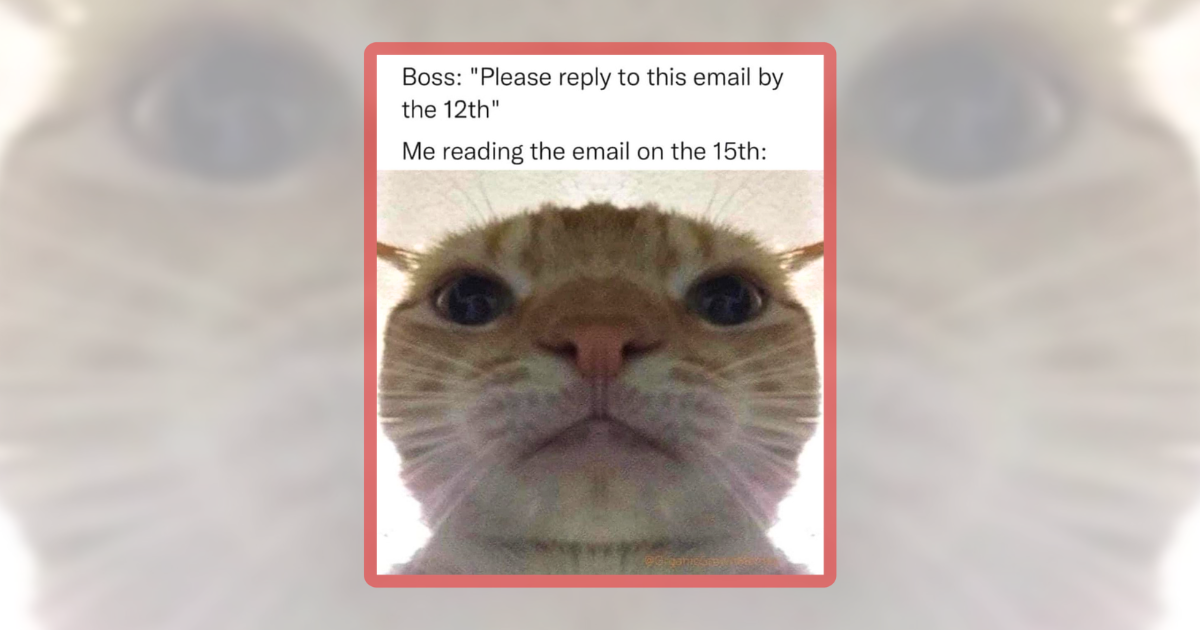 25 Clocked-In Cat Coworkers to Survive This Monday With Memes