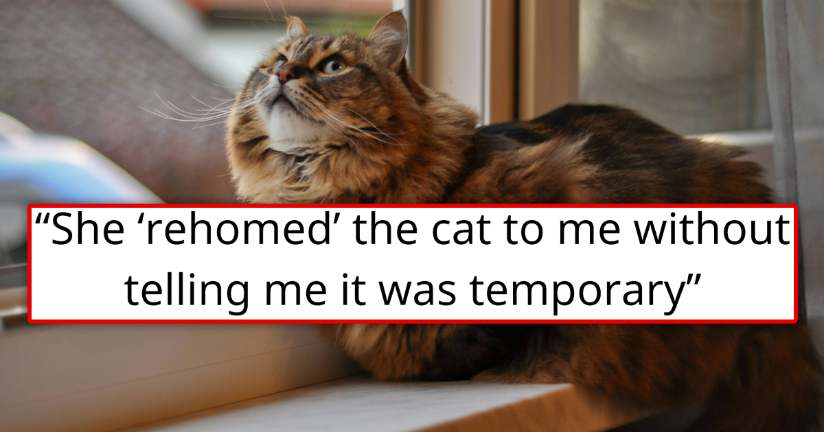 Pregnant sister-in-law "temporarily rehomes" her cat because she "couldn't deal with her right now", without telling the new owners it's temporary, they fall in love with the kitty and refuse to give 