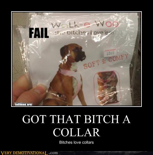 Memebase - collar - All Your Memes In Our Base - Funny Memes - Cheezburger