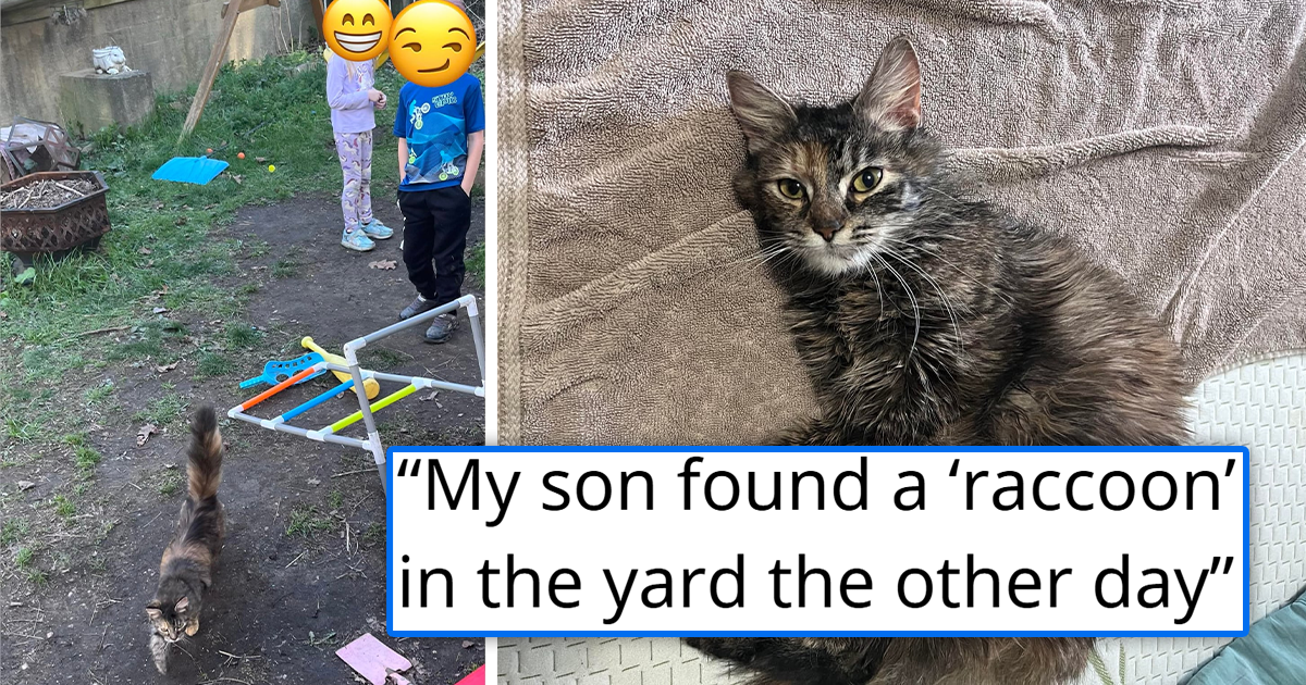 Boy finds a cute "raccoon" outside and bonds with it, only for it to turn out that the raccoon is actually a tiny kitten in need of a home: 'He’s since been corrected and pressured me into adopting it