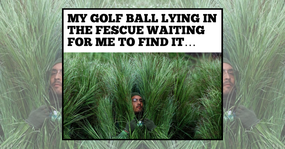 31 Golf Memes for Golfers Who Are Totally in the Swing of Things