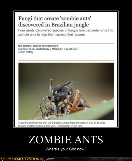 ZOMBIE ANTS - Very Demotivational - Demotivational Posters | Very