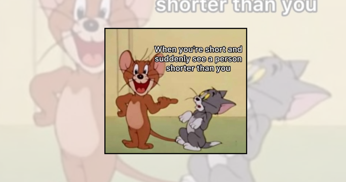 21 Top-Shelf Memes for Short People Who Couldn't Reach Them Without a Stool