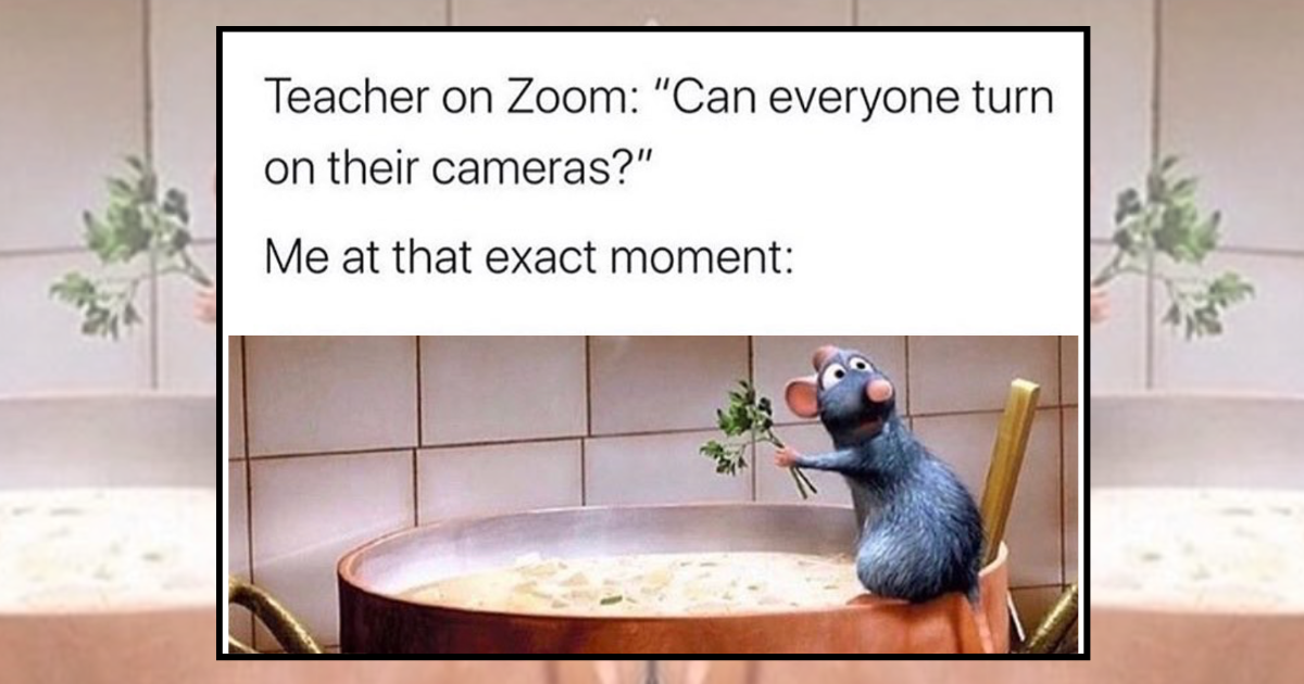 25 Ratatouille Memes for Those Who Wish They Had a Remy Managing Their Lives