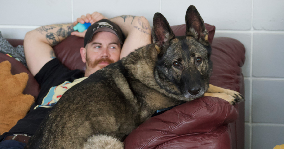 Neighbor forces couple to clean up random dog messes in her yard while claiming their dog is responsible: '[Our Belgian Shepherd] does not cross the fence'