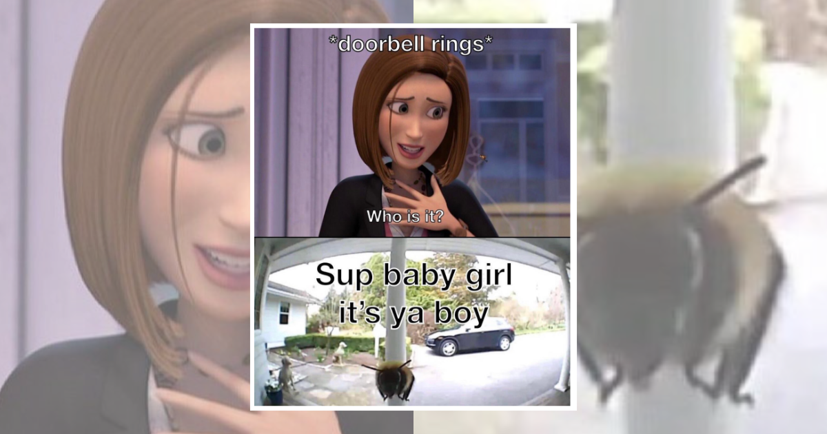 24 Bee Movie Memes That Remind You That If a Human Fell In Love With a Bee, Your Crush Can Fall In Love With You Too