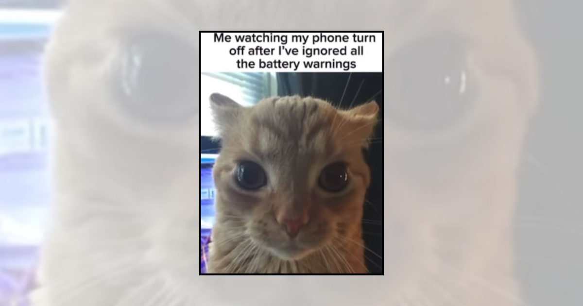 'Need a recharge?': 21 Low battery memes for people running on 1% but staying awesome