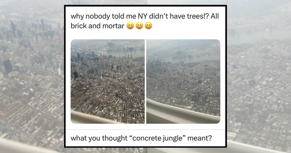 Concrete jungle were dreams are made of: 30 City memes for people with big dreams living in a big city